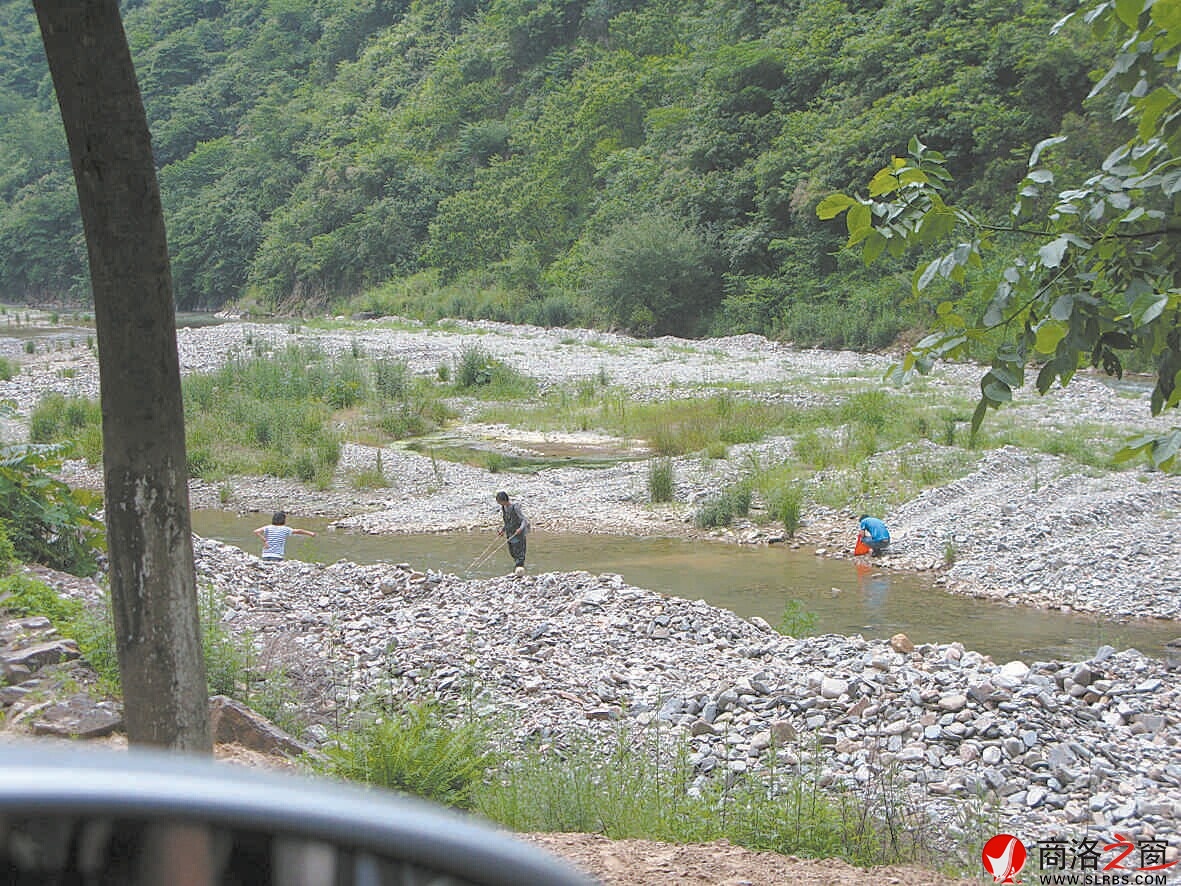 6月2日，柞水杏坪鎮(zhèn)金口村不到十里的河道電魚的就有四伙人