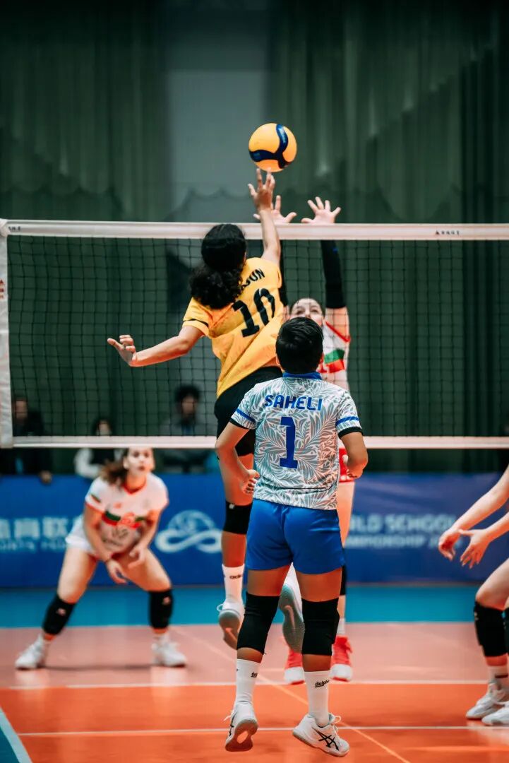 公眾號(hào)圖片 6