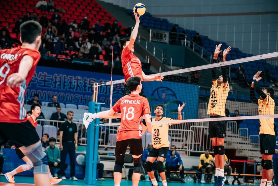 公眾號(hào)圖片 12