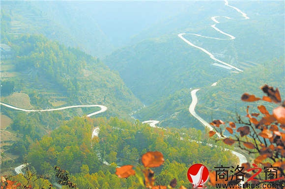 通往姬家河的鄉(xiāng)村公路蜿蜒在綠海中，行走其中，就是一種享受。